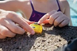 FINIS Tempo Trainer -Aqua Shop 1.05.120 image usage 23