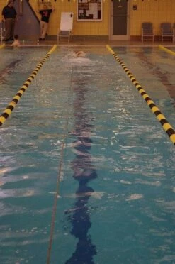 NZ Strechcordz Safety Long Belt Slider -Aqua Shop 8735353261 3da80a2187 z